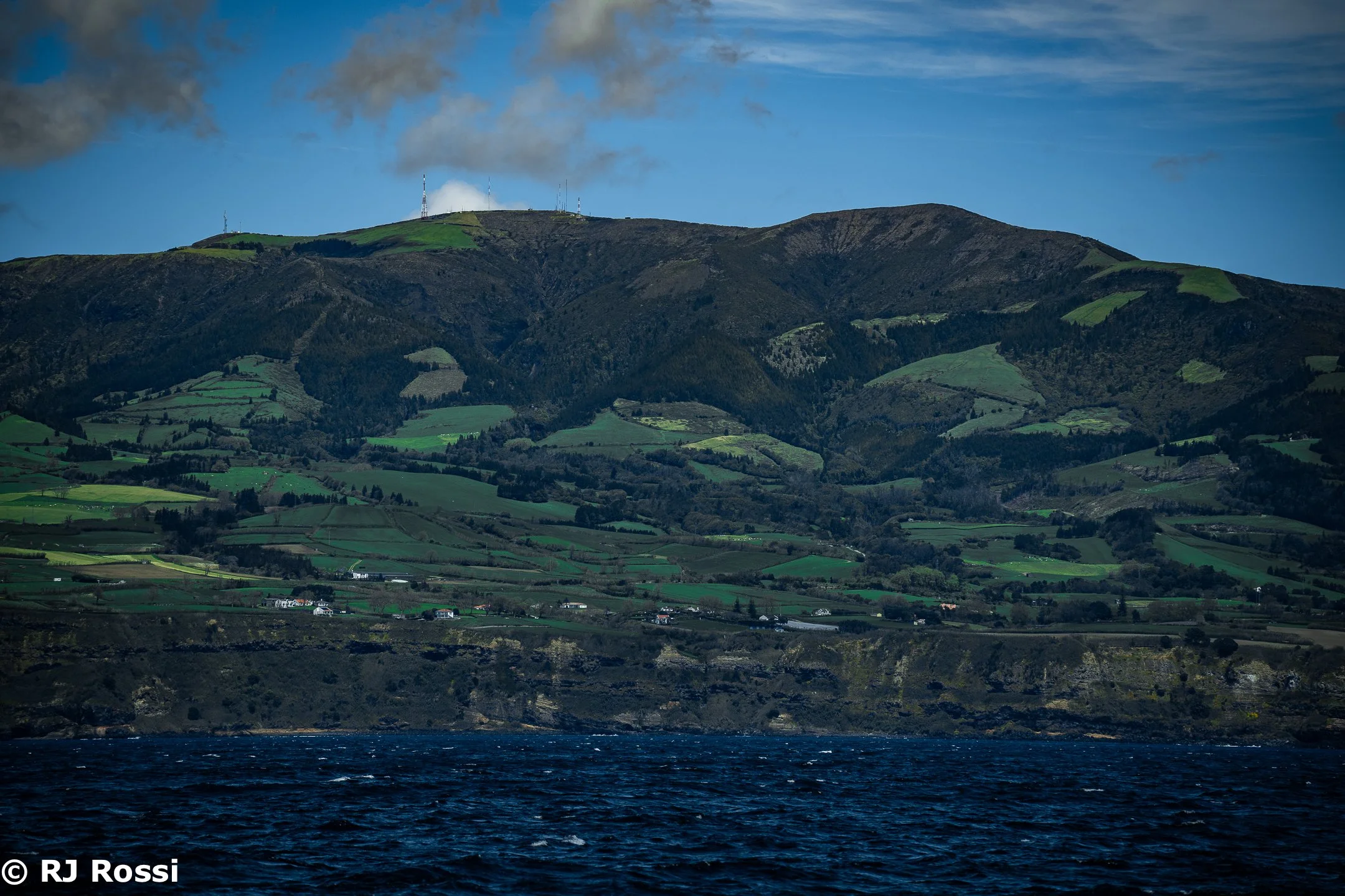 Azoreswhale-10.jpg