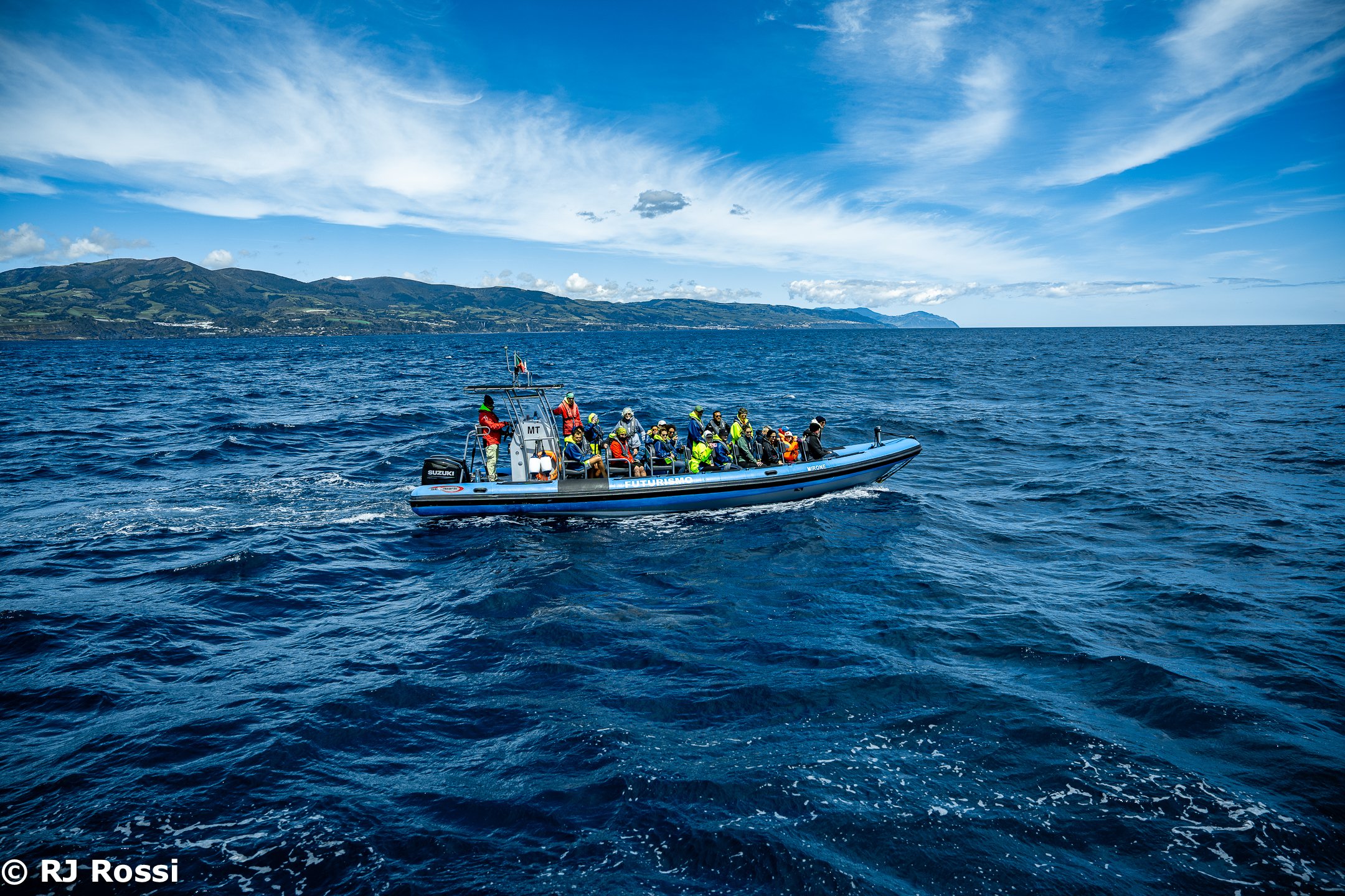Azoreswhale-31.jpg