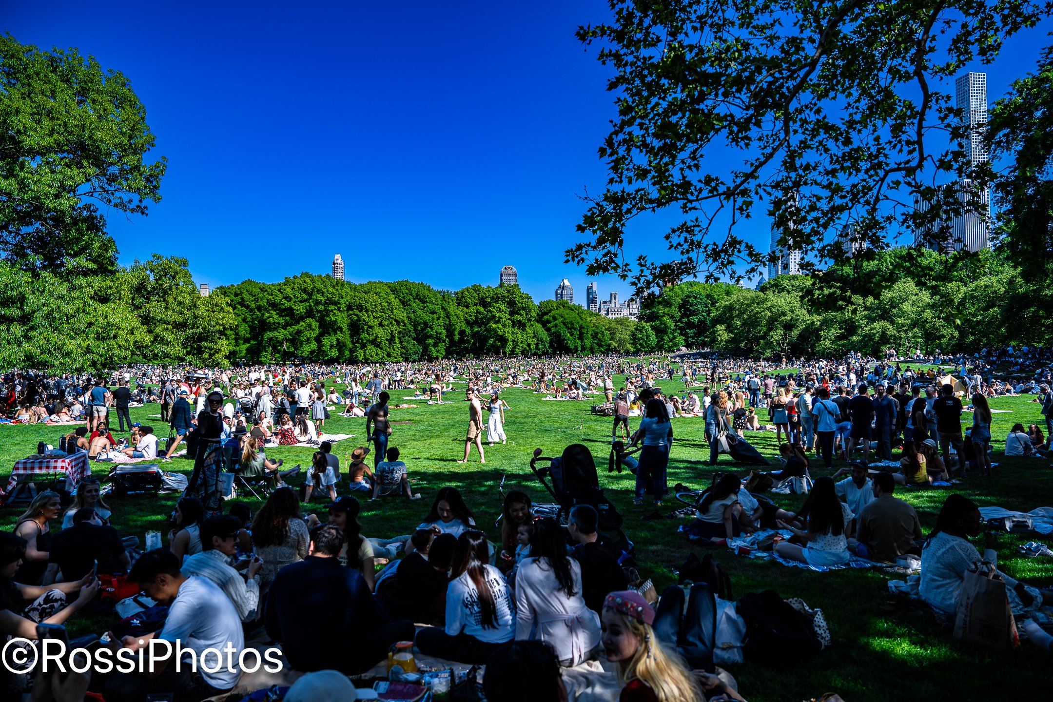 NYCPark-44.jpg