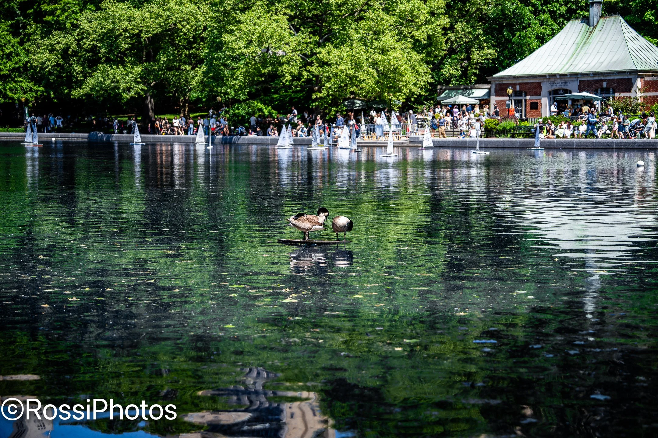 NYCPark-2.jpg