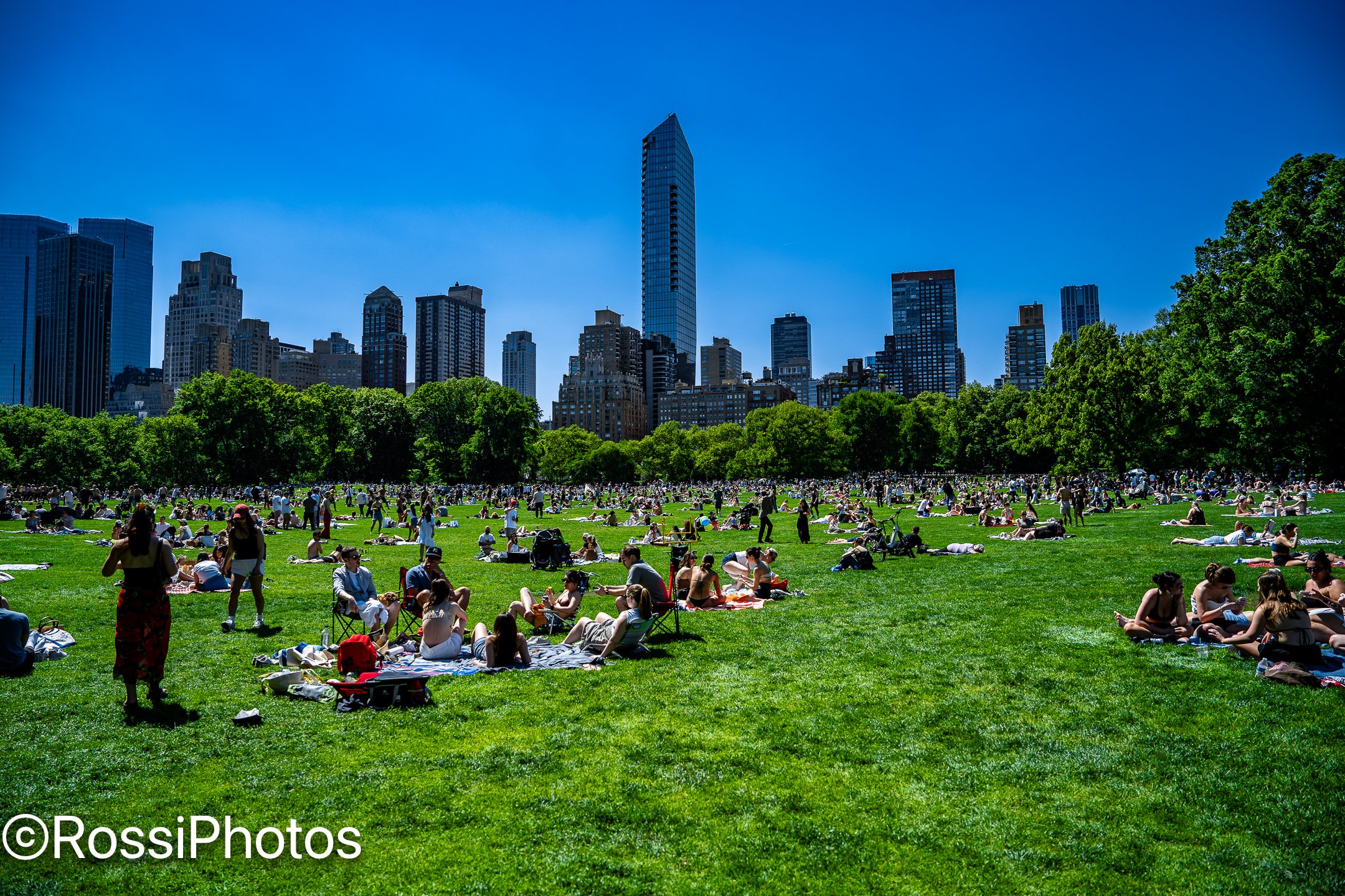 NYCPark-15.jpg