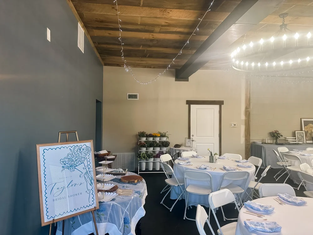 Birthday party set-up