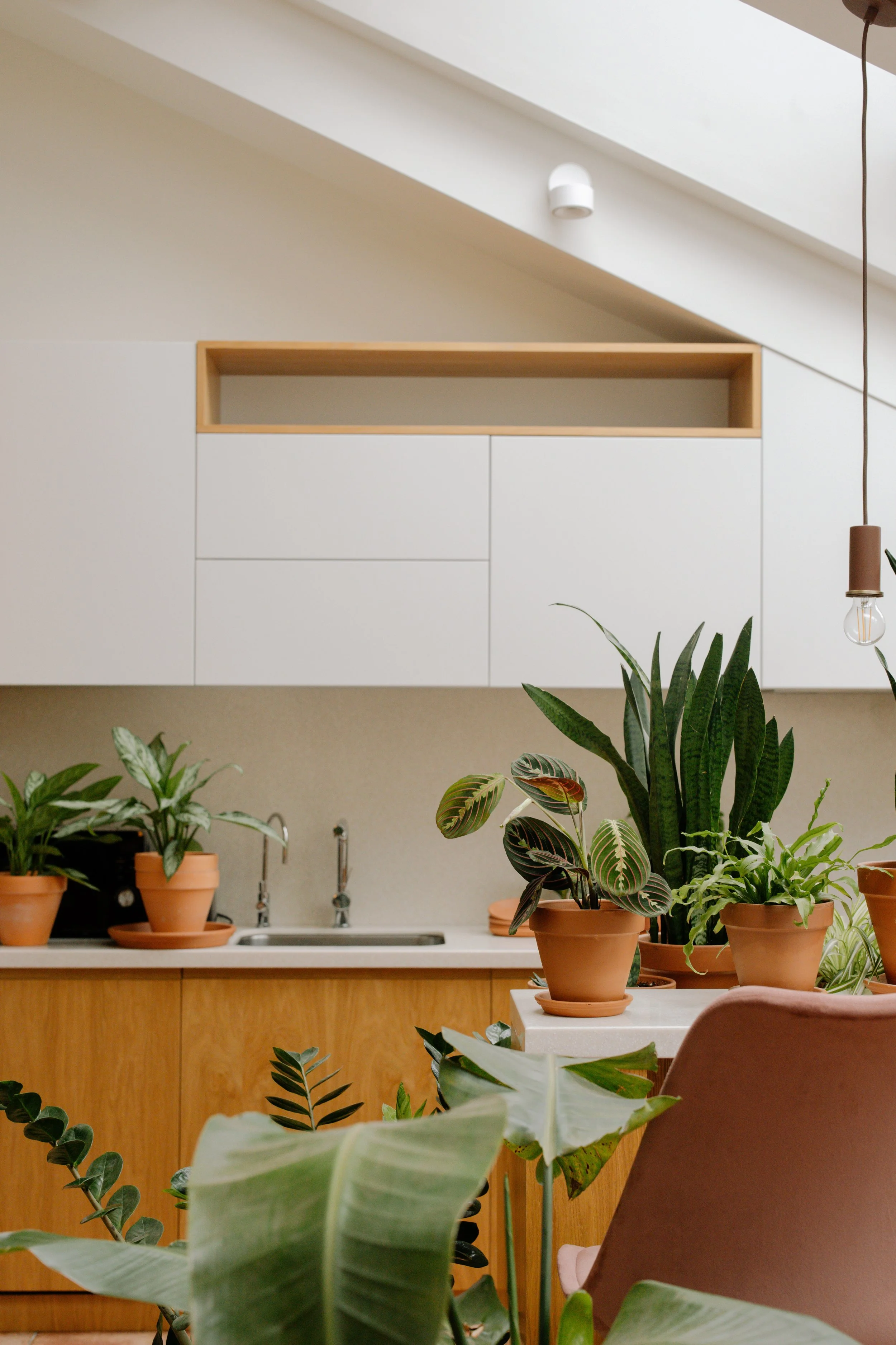 Indoor kitchen with white cabinets, wooden accents, and multiple potted plants on the counter and table.