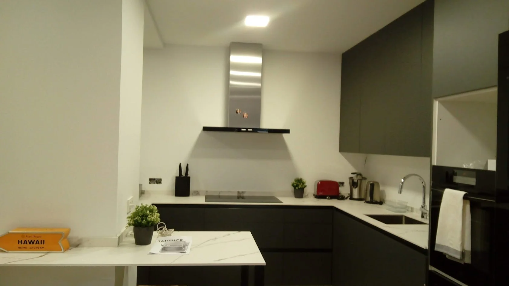 Cocina moderna con gabinetes grises, encimera blanca, estufa eléctrica, campana extractora de acero, fregadero con grifo, electrodomésticos de acero, dos plantas en macetas negras, cuchillos en soporte negro, y algunos objetos en la encimera.