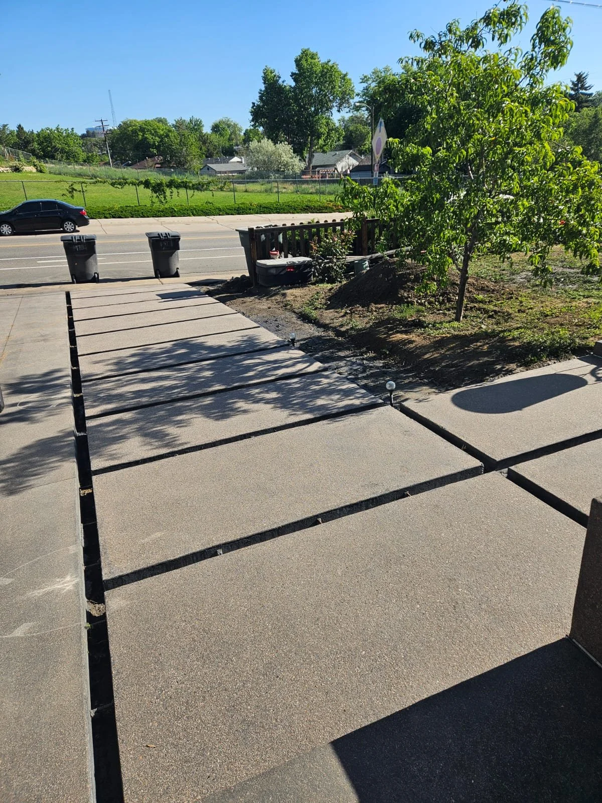 A suburban front yard with newly paved concrete driveway, small garden beds, a young tree, outdoor lights, and a view of the street with cars and houses in the background.