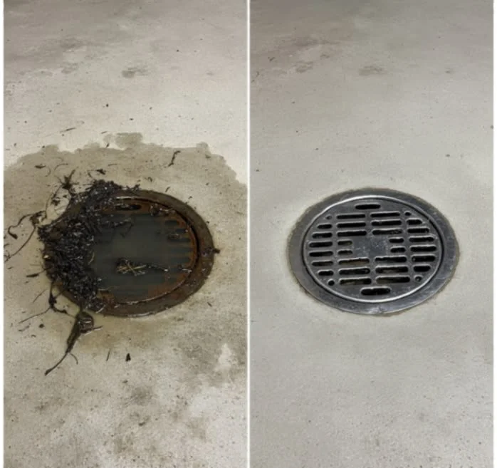 Drain Inspection