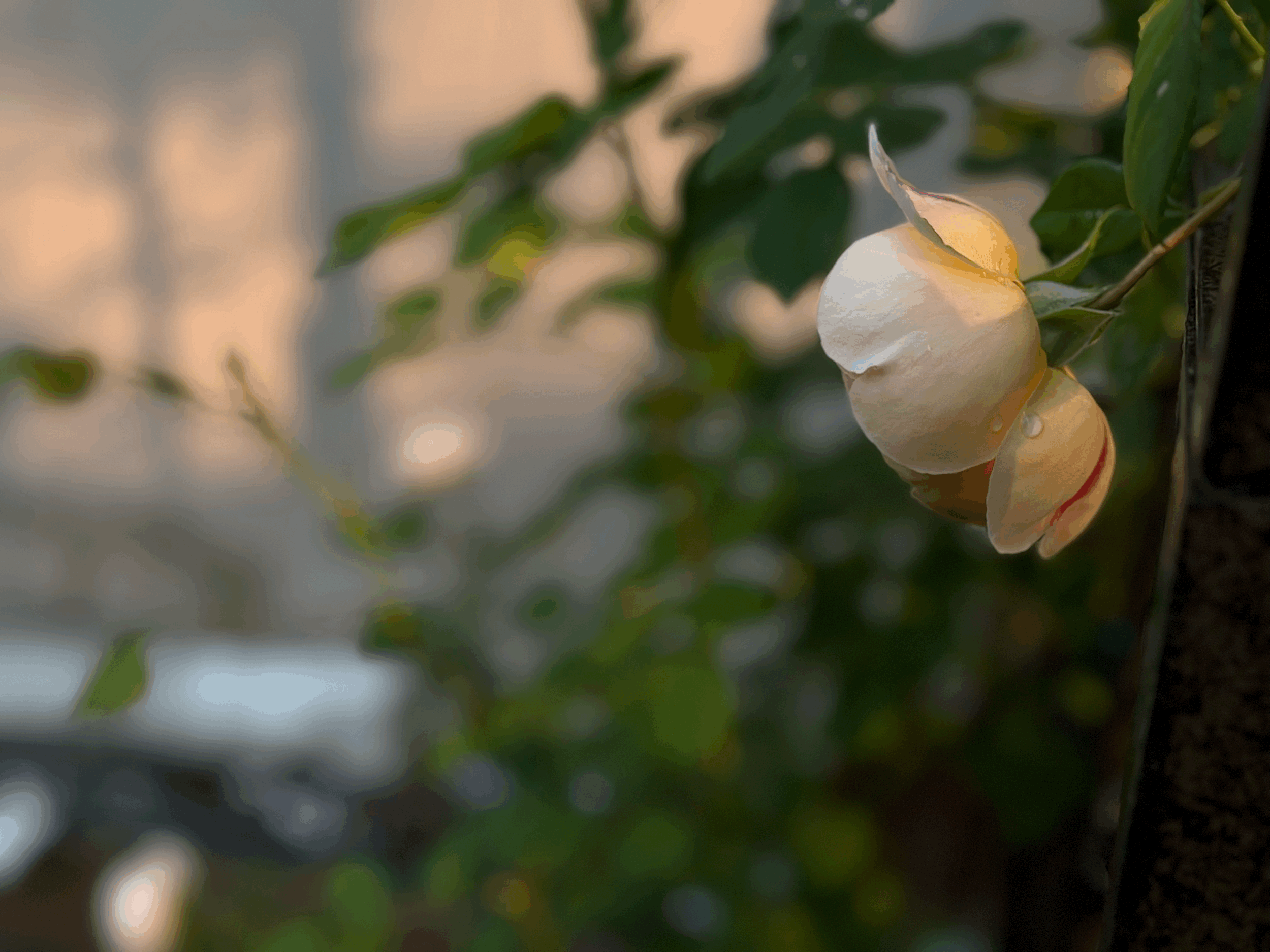 A Quiet beginning