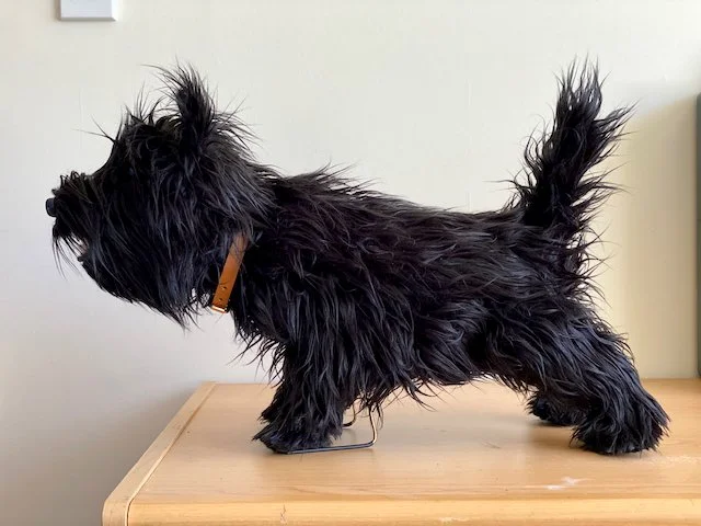 A small black dog puppet with a fluffy coat standing on a wooden surface.