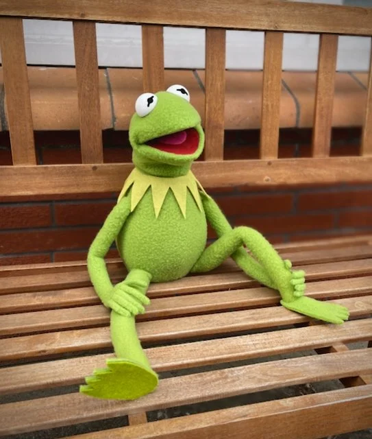 Frog puppet replica with large eyes, open mouth, sitting on a wooden park bench.