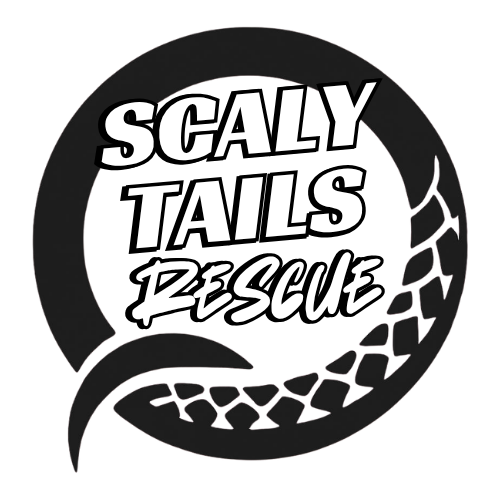 Scaly Tails Rescue