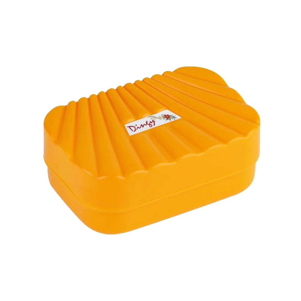 soap case