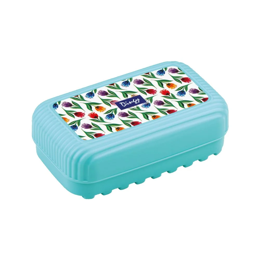 soap case