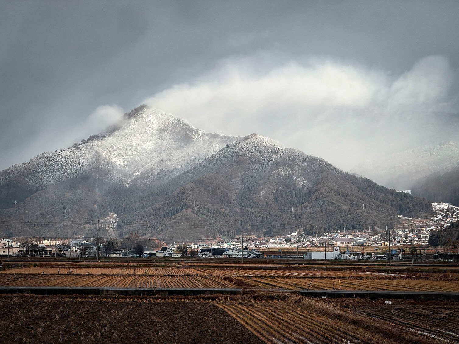 View of rice paddy fields with Japanese village and mountain in the background