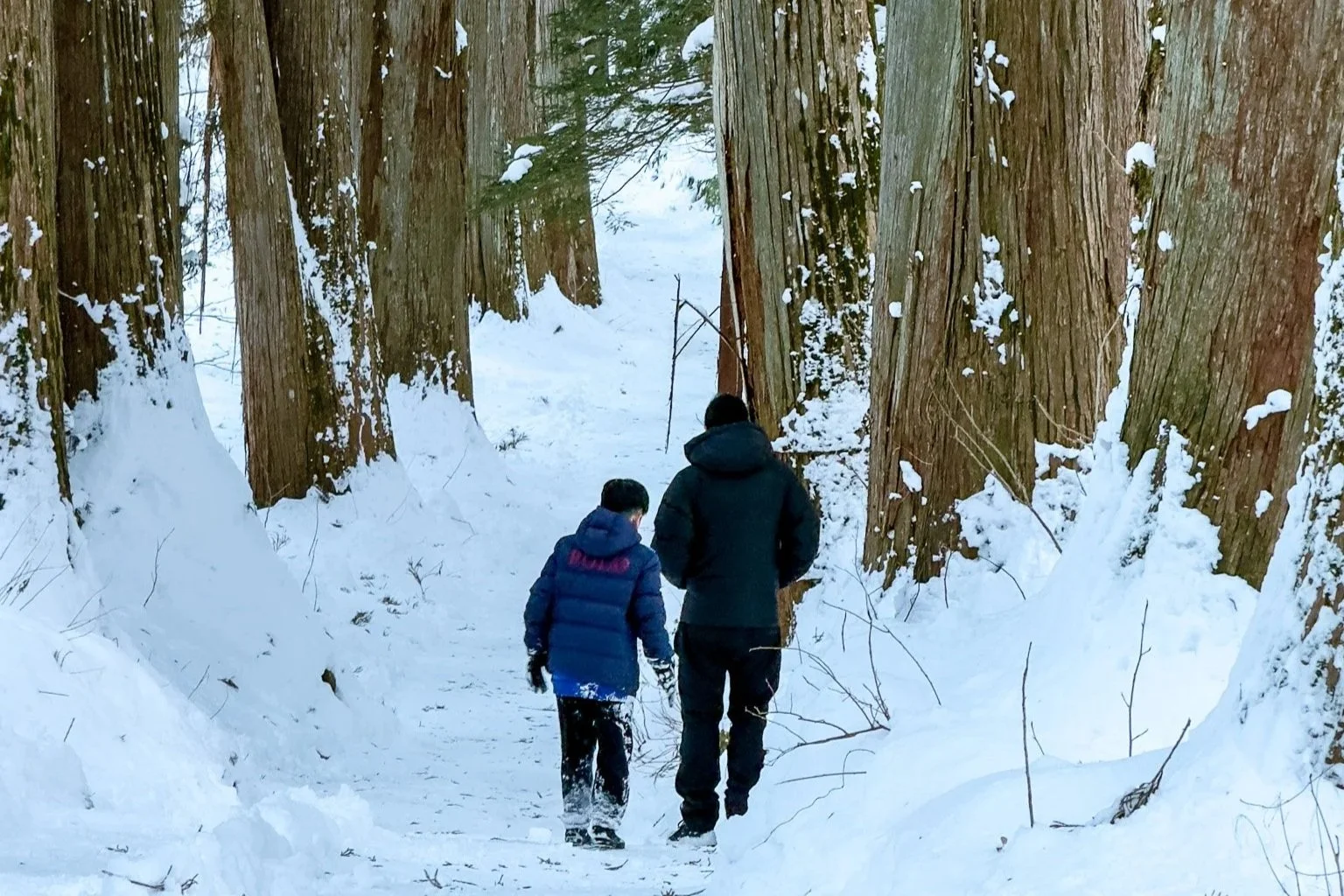 More Than Skiing: What to Do in Kijimadaira in Winter