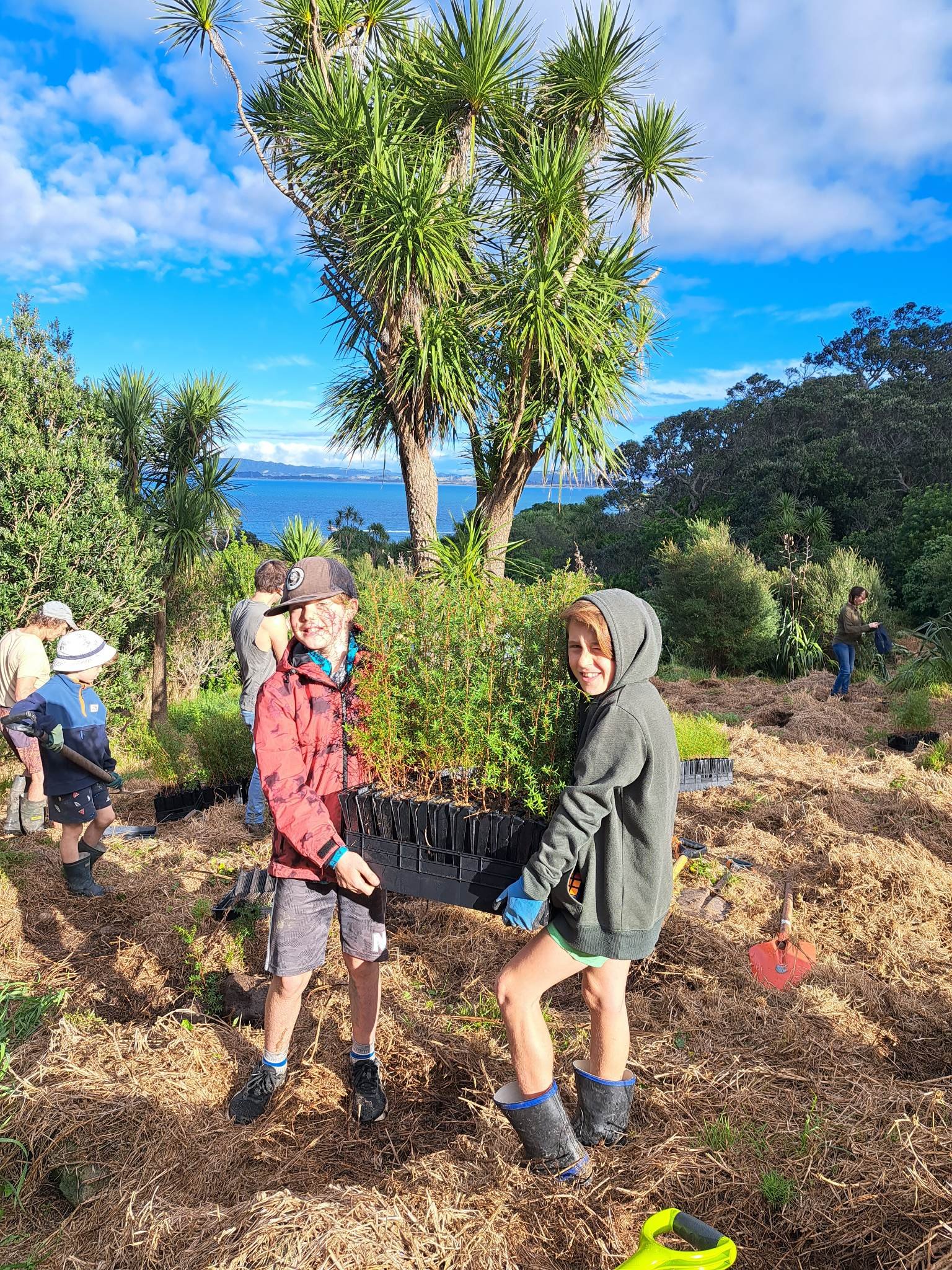 People planting small trees or shrubs in an outdoor garden with a large tree, greenery, and a body of water in the background on a sunny day.