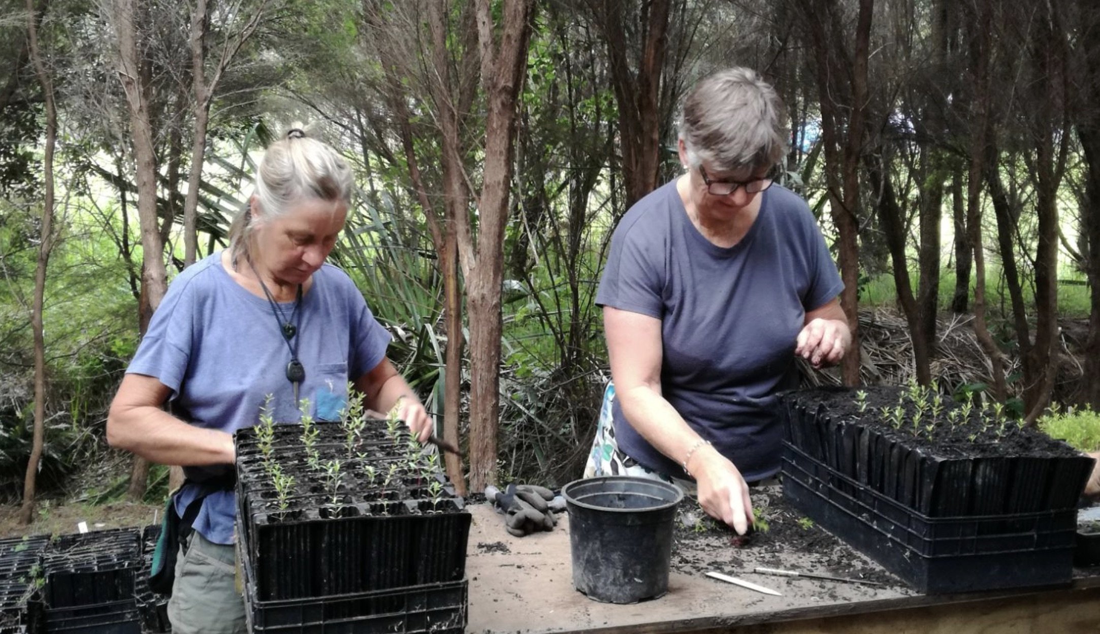 Two women planting and caring for seedlings in small pots outdoors in a forested area, wearing casual clothing.