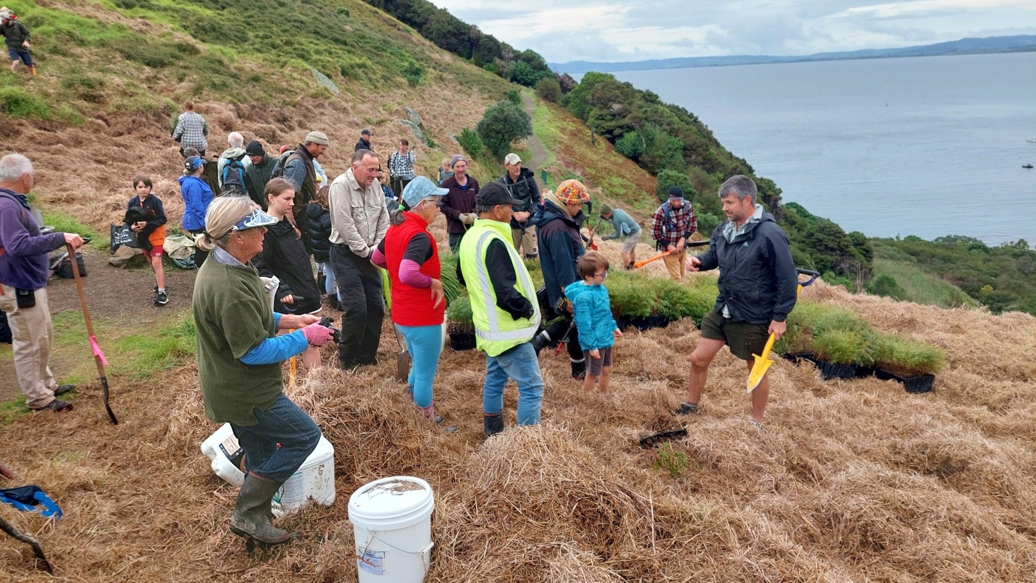 Group of people planting seedlings on a hillside near a body of water with boats and trees in the background.