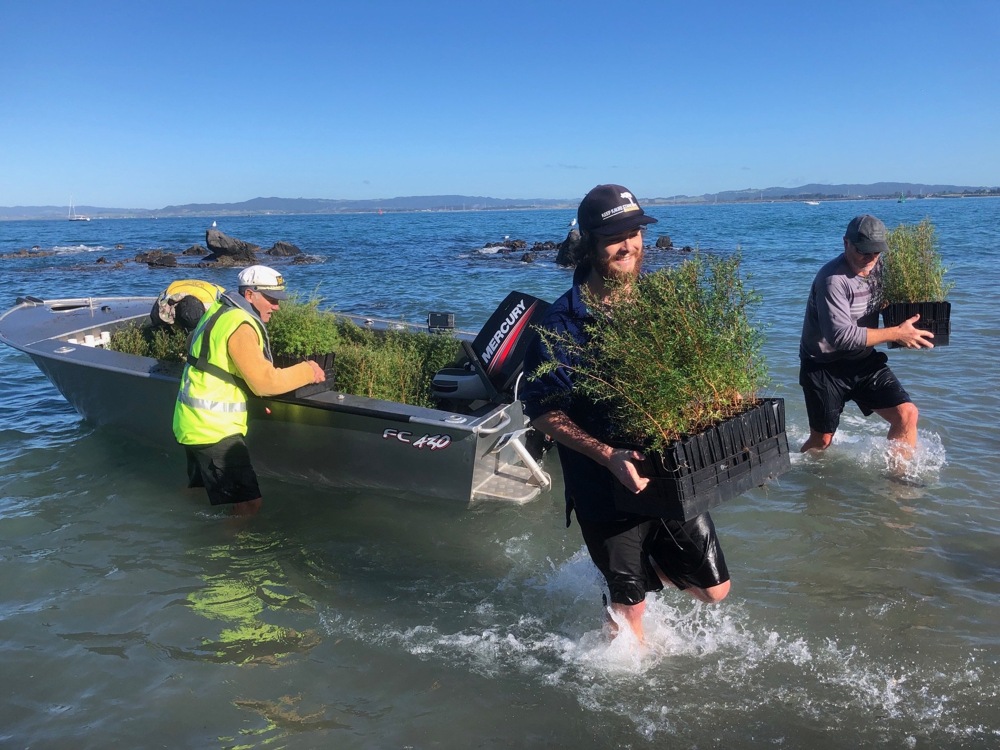 Three men unloading plants from a boat into the water near a shoreline with rocks and a distant mountain range under a clear blue sky.