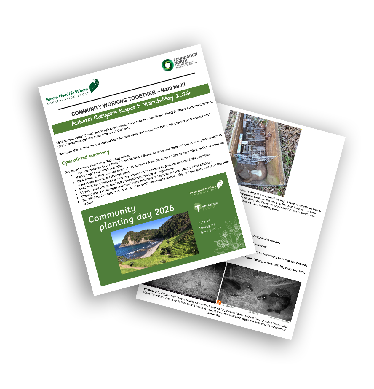 Newsletter and flyer for community planting day 2026 in Te Whara, featuring a scenic coastal landscape and event details.
