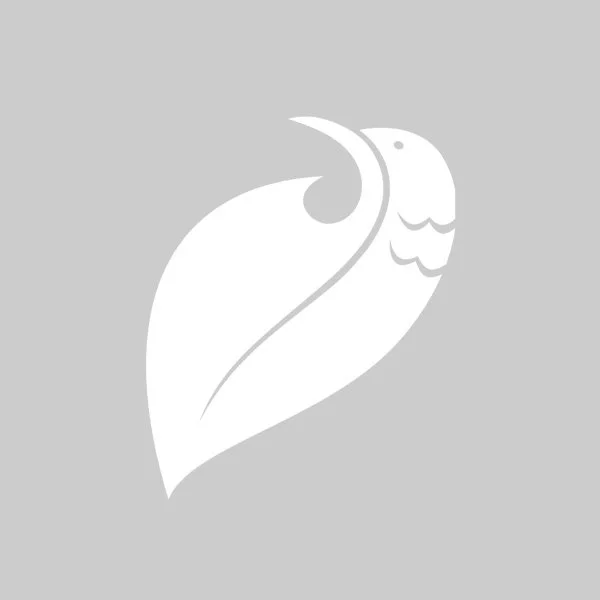 A white owl silhouette with a feather design on a gray background.