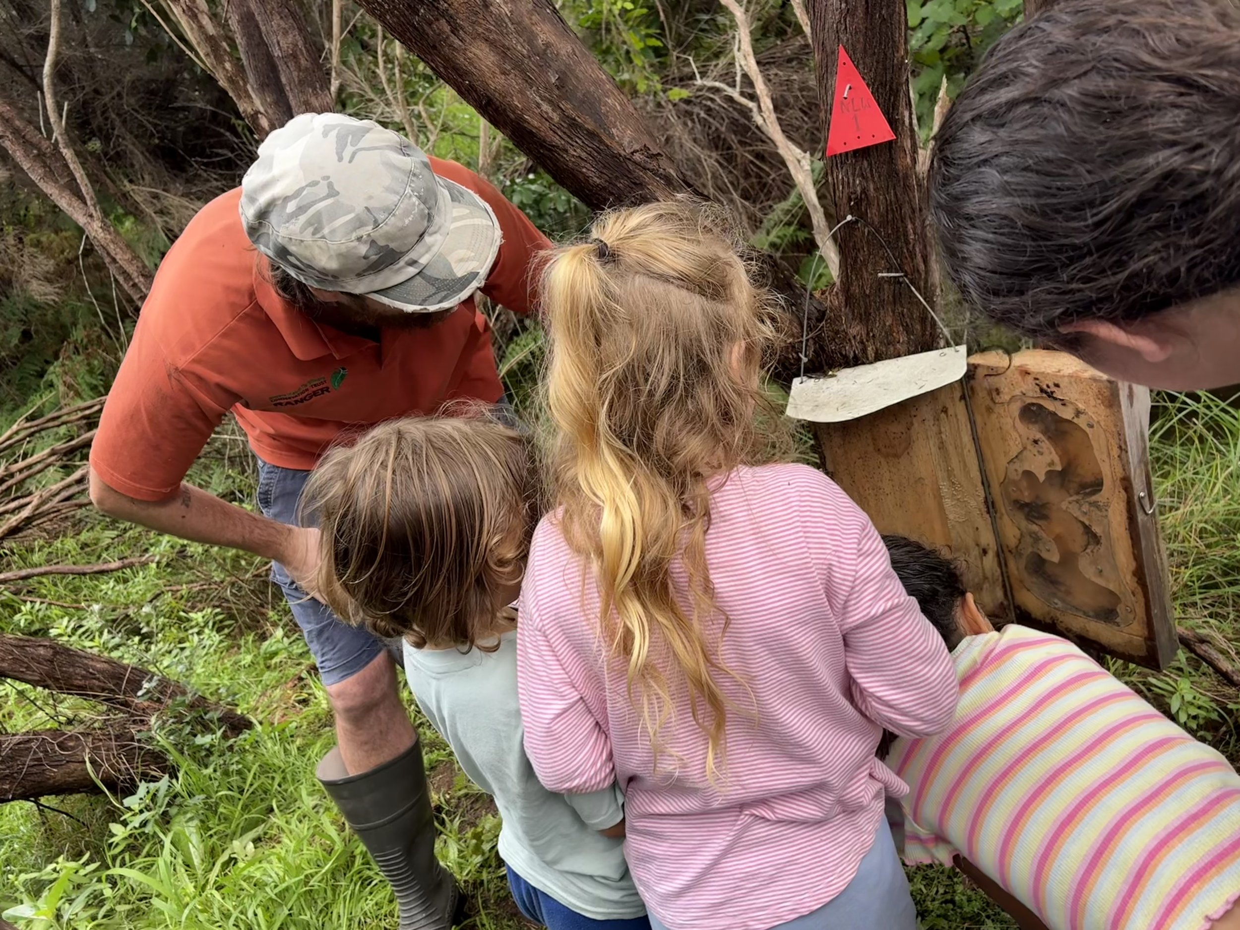 A group of children and adults gathered outdoors around a tree stump, closely examining something, with some wearing rain boots, in a lush green setting.