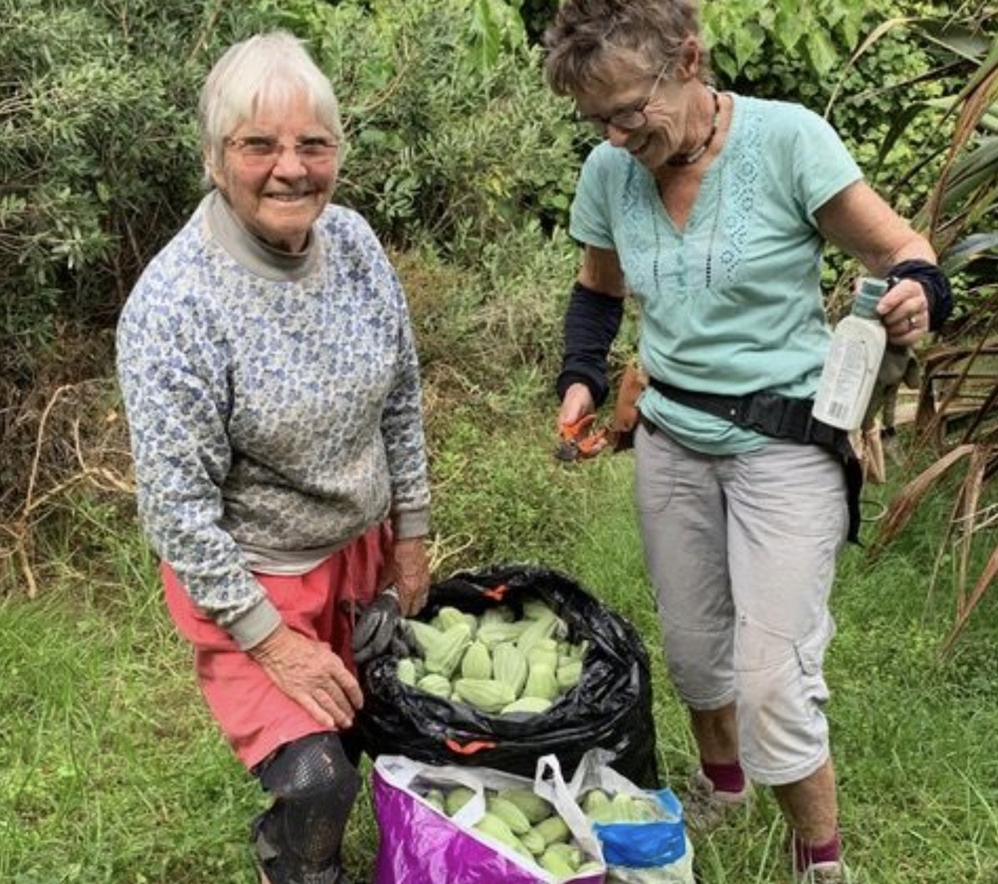 Two women outdoors, one elderly with white hair, glasses, wearing a patterned sweatshirt and pink shorts, smiling, holding a black bag full of corn cobs; the other woman has short curly hair, glasses, wearing a light blue shirt and white pants, holdi