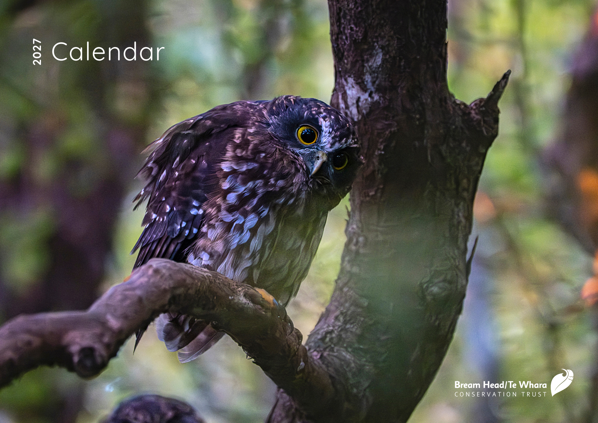 Bream Head Te Whara Conservation Trust 2027 Calendar