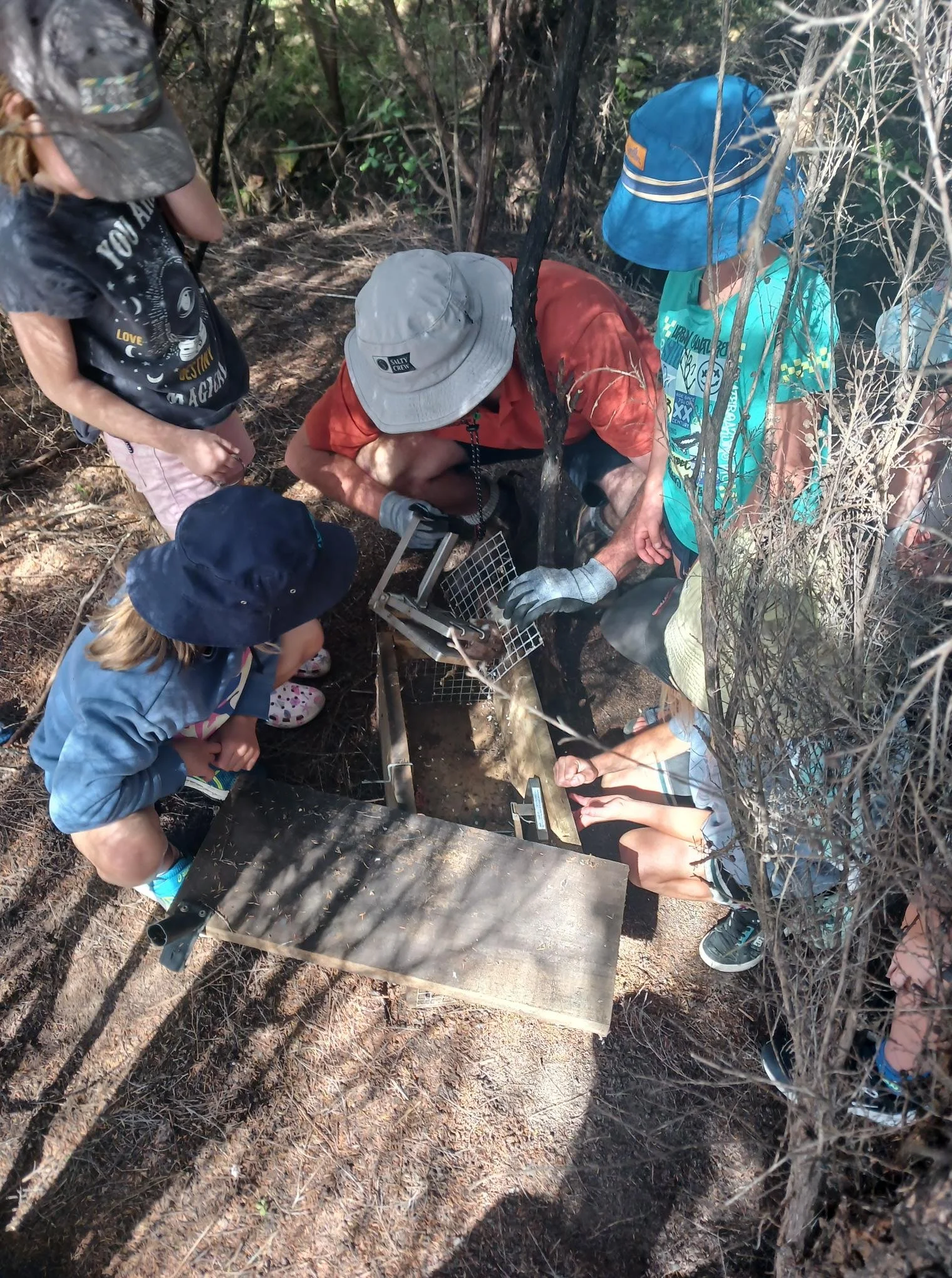 Children and adults gathered around a soil sample or small excavation site in a wooded area, wearing hats and outdoor clothing, possibly conducting a scientific or environmental activity.