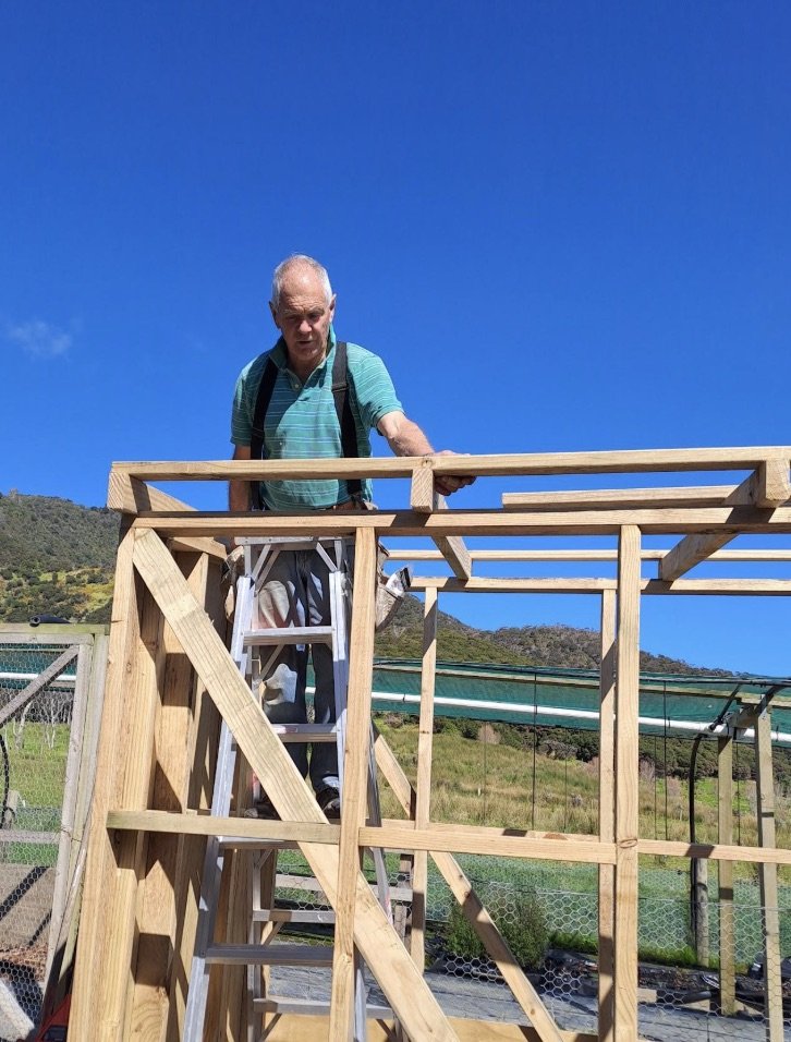 An elderly man building a wooden structure outdoors, standing on a ladder, with a background of green hills and a clear blue sky.