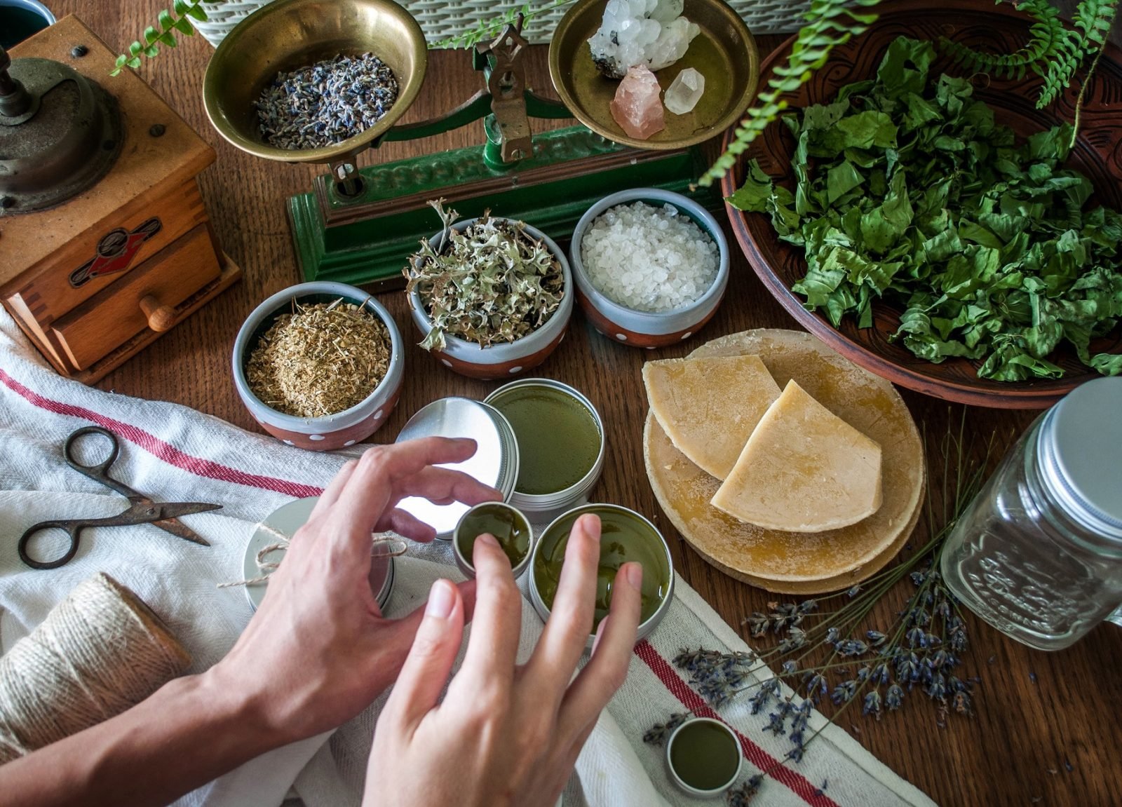 Homesteading -    Farm to Table (6th-12th) Thursday 2:15-3:15