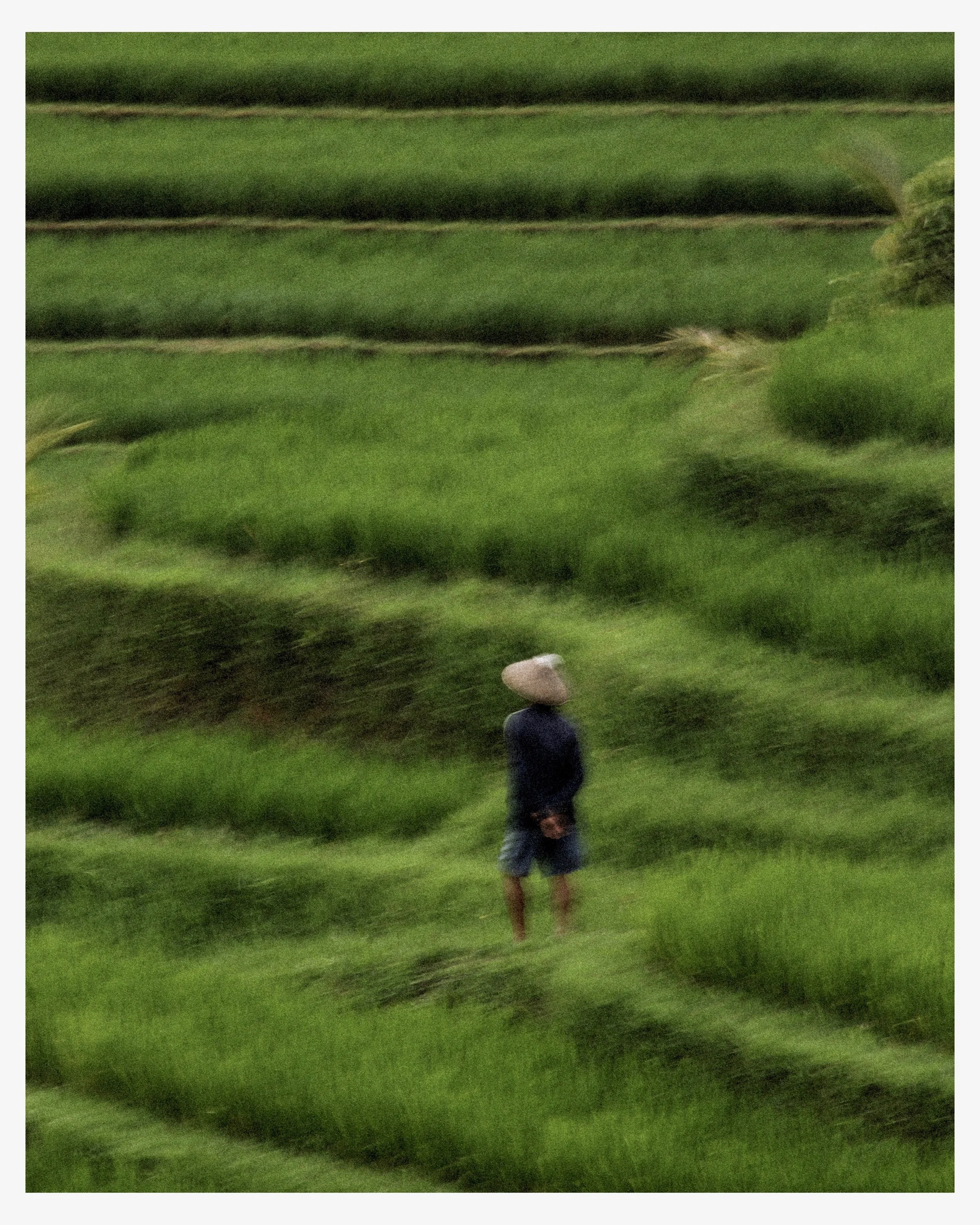 Green noise
