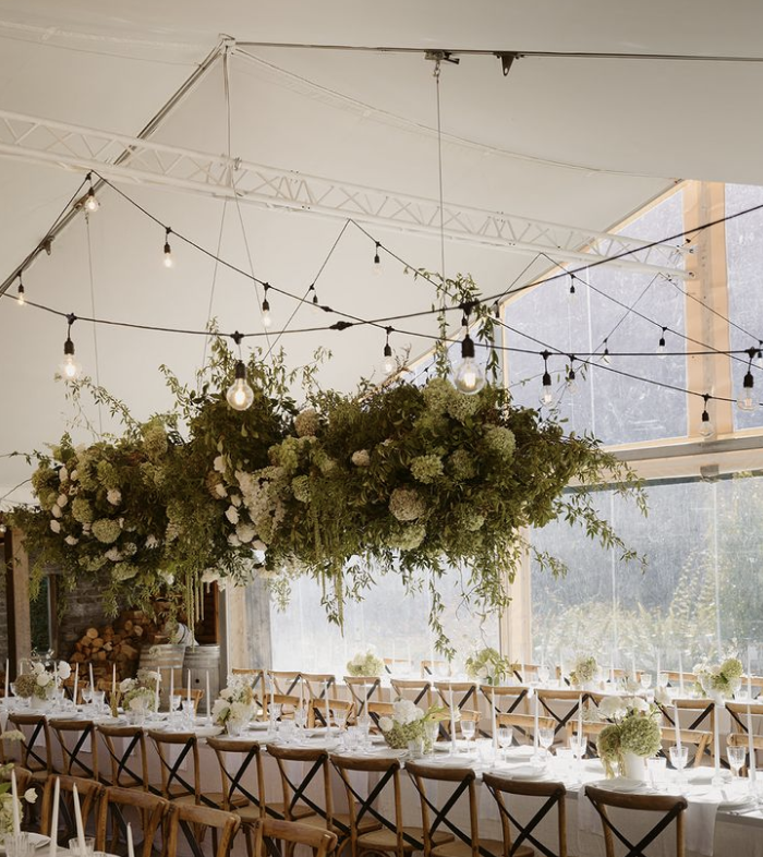 Little Botanica: 2025-2026