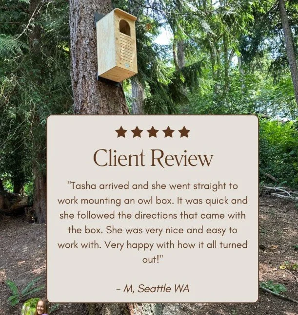 Recent Client Feedback