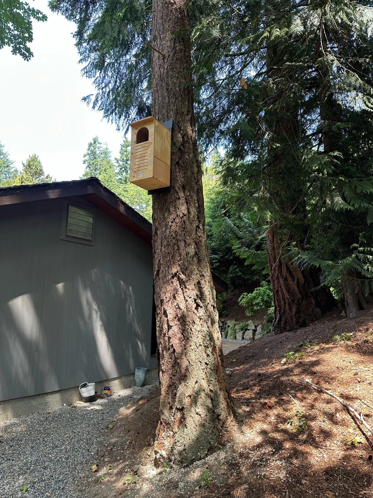 Marcy Stowe Owl Box Project 6.24.2025.jpeg