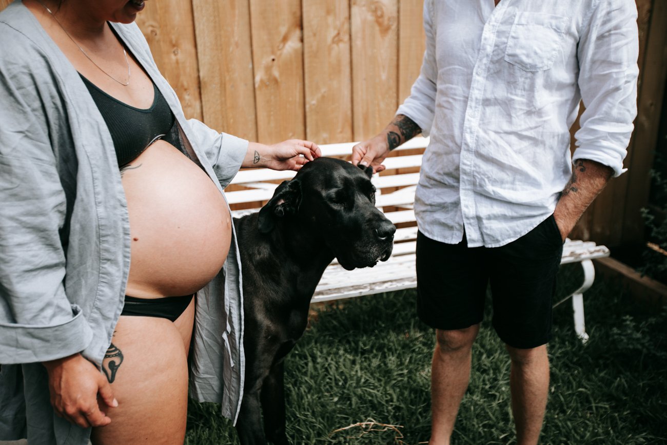 family-portraiture-couple-dog-backyard.002.jpg