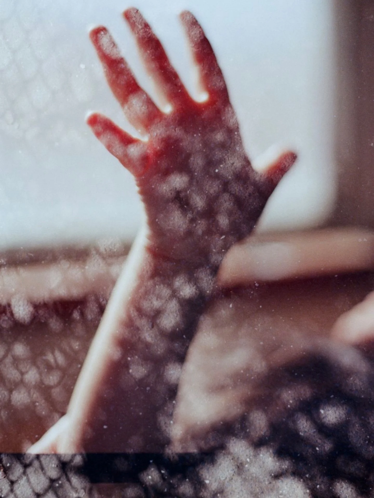 To be human is to reach through light, through shadow, through uncertainty. #pvmondaytobehuman #photovogue #photovogueopencall #35mmfilmphoto 

@ikigaifilmlab the best in the business! 

-

Rochelle Tissa is a photographic artist whose work moves flu