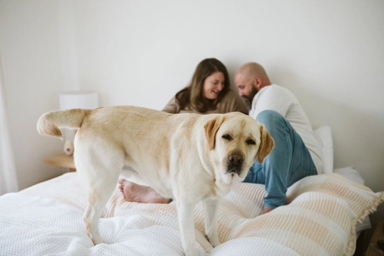 family-portraiture-family-dog.004.jpg