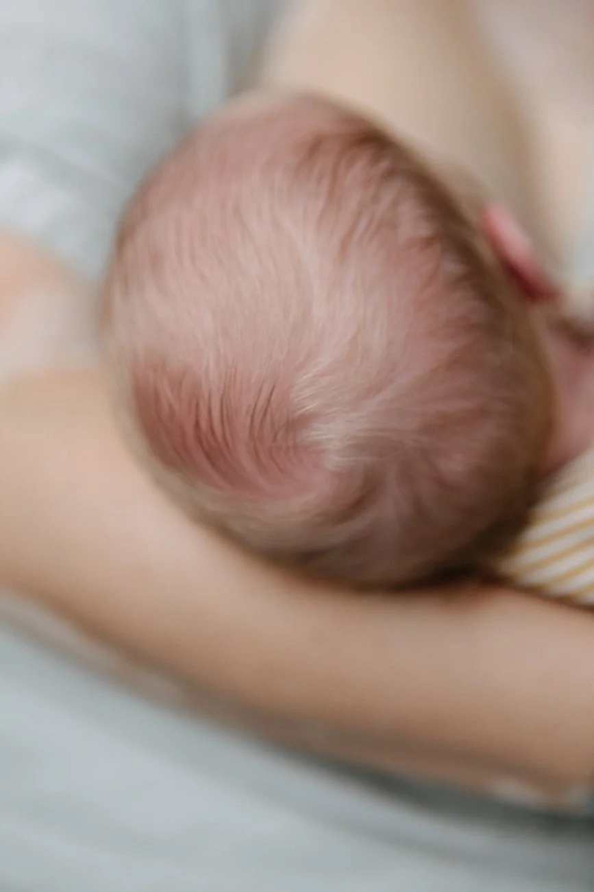 family-portraiture-newborn-fontinel.001.jpg
