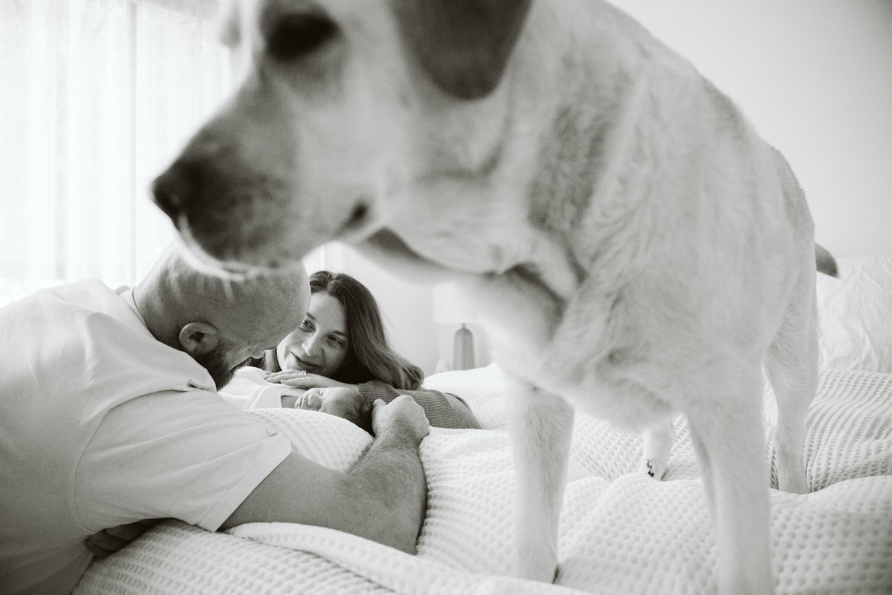 family-portraiture-family-dog.001.jpg