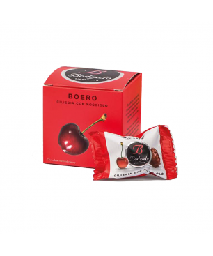 cubo-boeri-fondenti-senza-nocciolo-100gr-bodrato.png