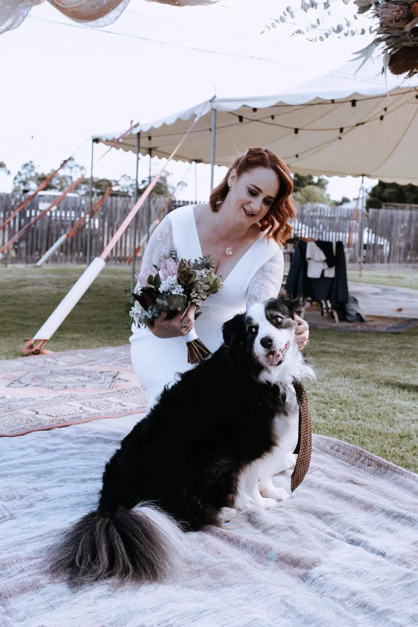 A woman in a white dress holding a bouquet, smiling, kneeling beside a black and white Australian Shepherd dog wearing a brown tie, outdoors under a large beige tent with a grassy area and wooden fence in the background.
