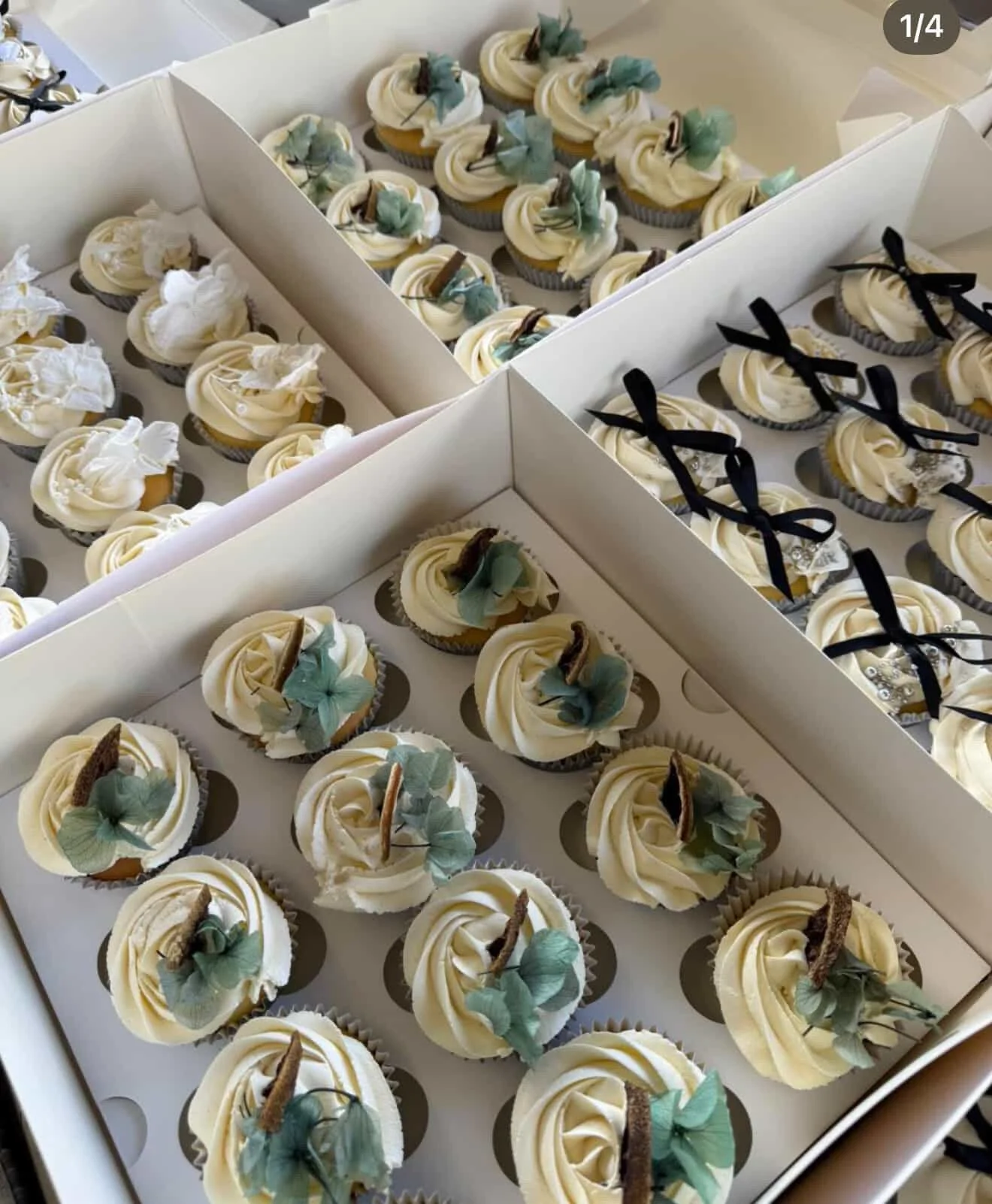 Multiple cupcakes decorated with white frosting, green leaves, and small brown toppings, arranged in boxes for display.