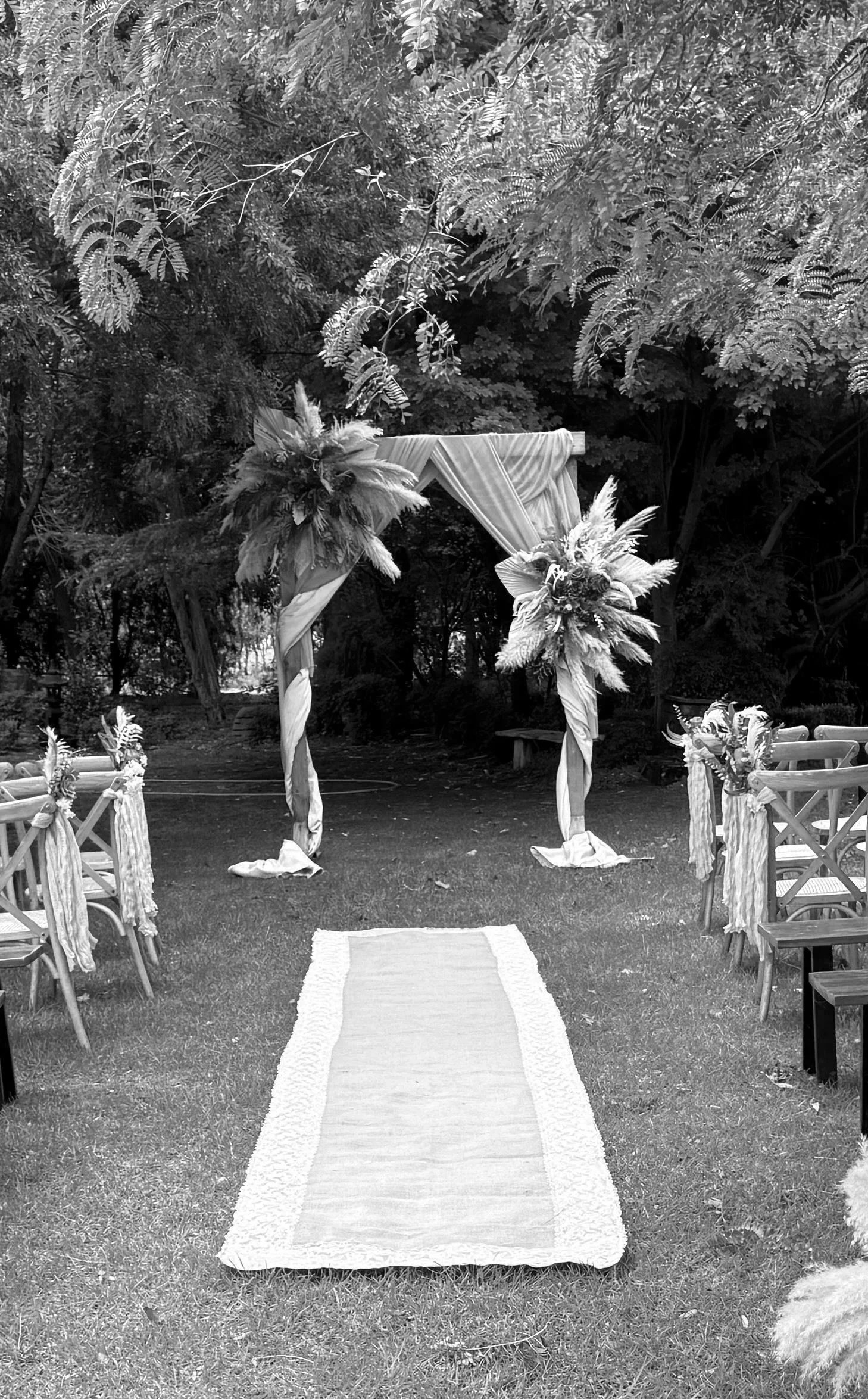 A wedding ceremony setup outdoors with chairs on either side of a central aisle, leading to a decorated arch with draped fabric and floral arrangements, surrounded by trees and greenery.