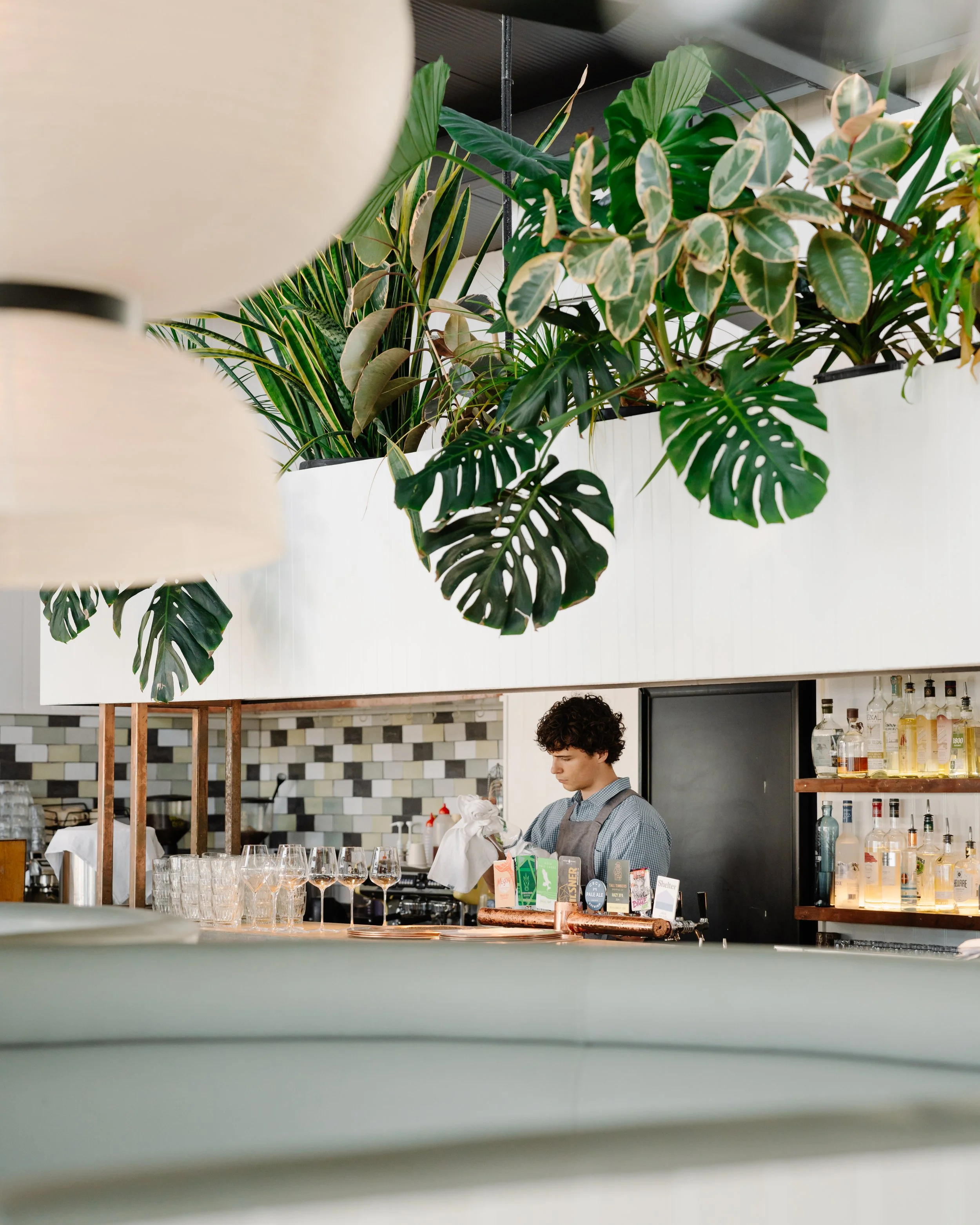 The image shows the interior of a modern restaurant or bar with lush green plants hanging from the ceiling. In the foreground, there are several empty wine glasses on a counter. A young man with curly hair, wearing a checkered shirt and an apron, is preparing drinks behind the bar. The background features a tiled wall, shelves with bottles of alcohol, and a person in the lower part of the image.