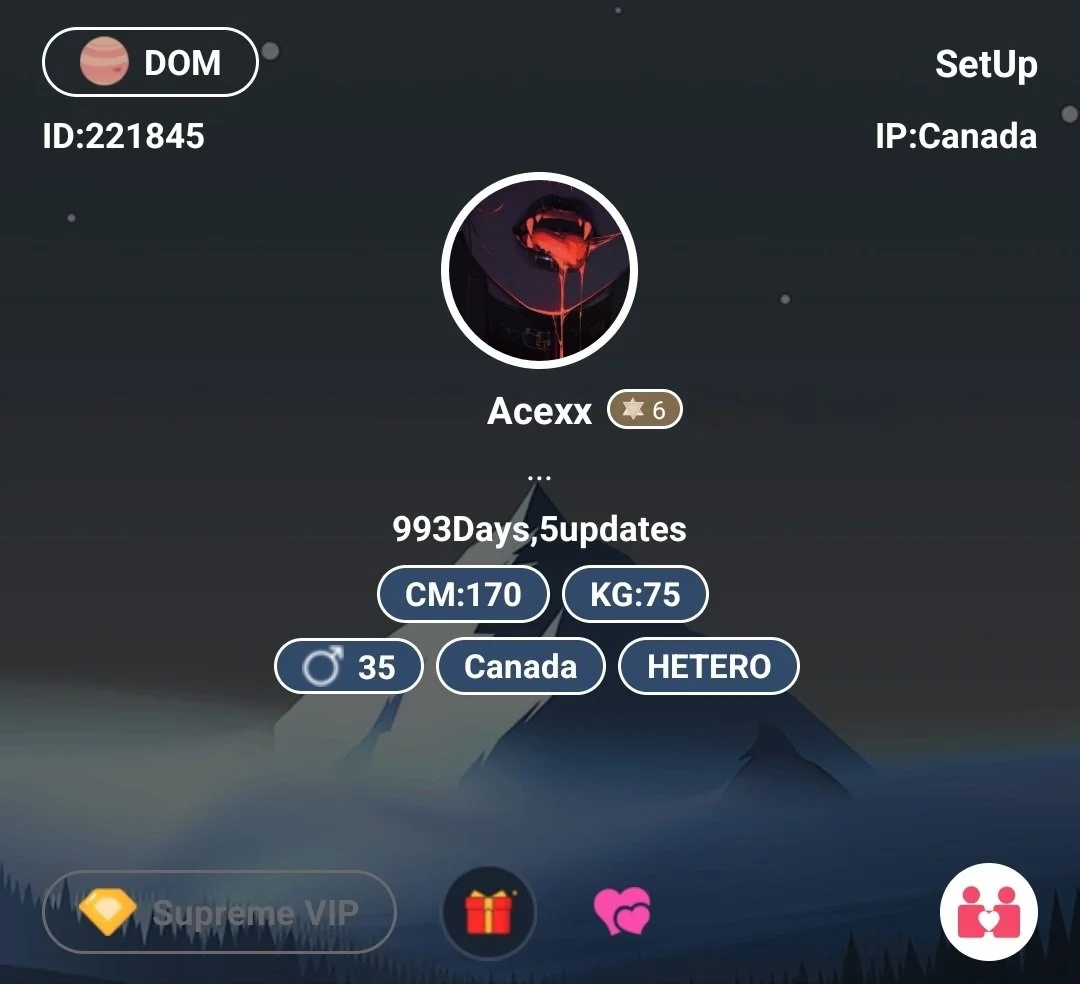 Screenshot of a mobile game profile with a dark background and mountain illustration. The profile includes a username 'Acexx', an ID number, and details such as 993 days of play, 5 updates, and statistics like 170 centimeters height, 75 kilograms weight, age 35, from Canada, and gender heterosexual. There are icons for VIP, a gift, and hearts at the bottom.