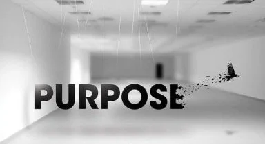 Our Purpose