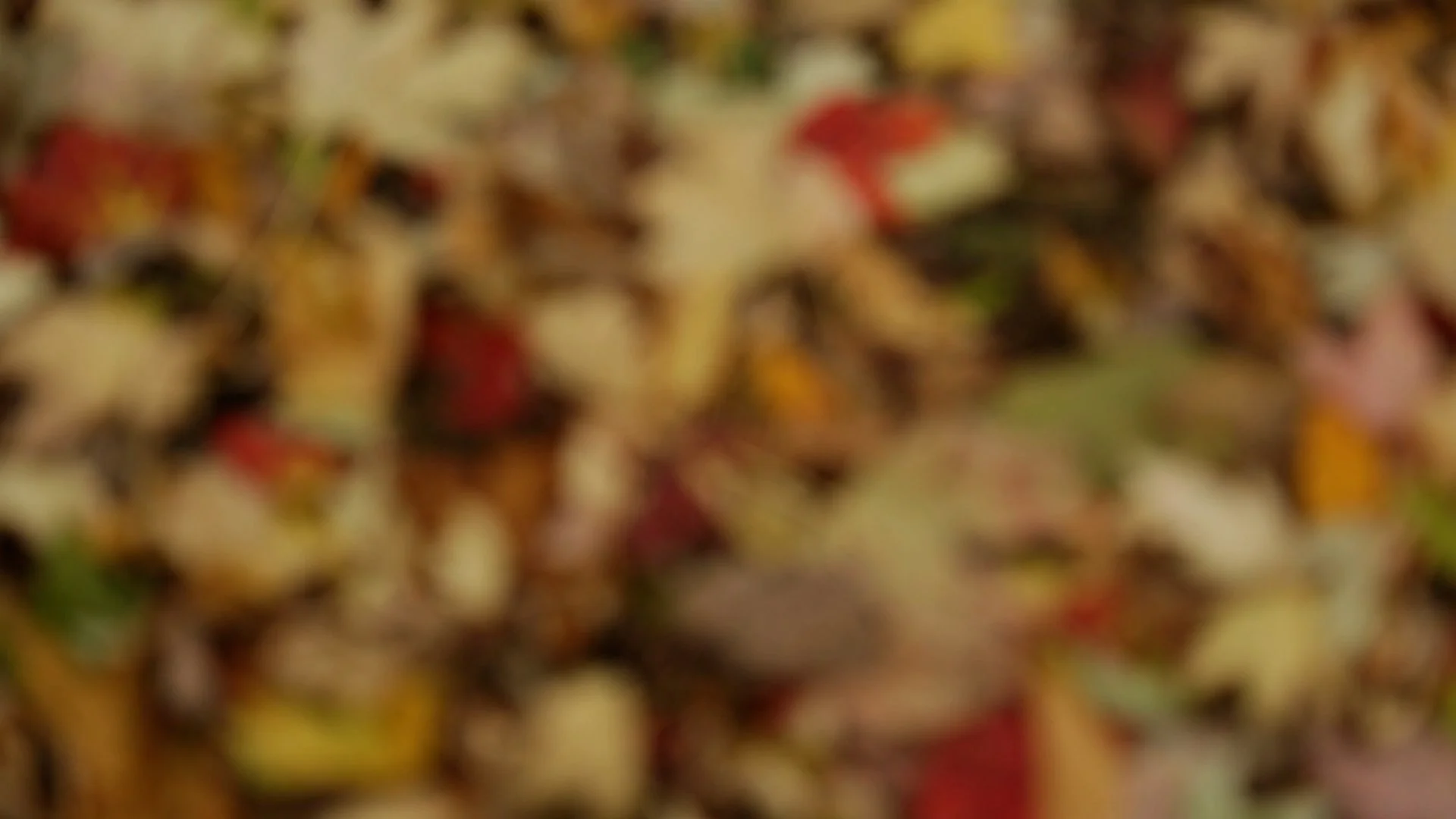 Sequence 01.00_04_16_18.Still005.jpg