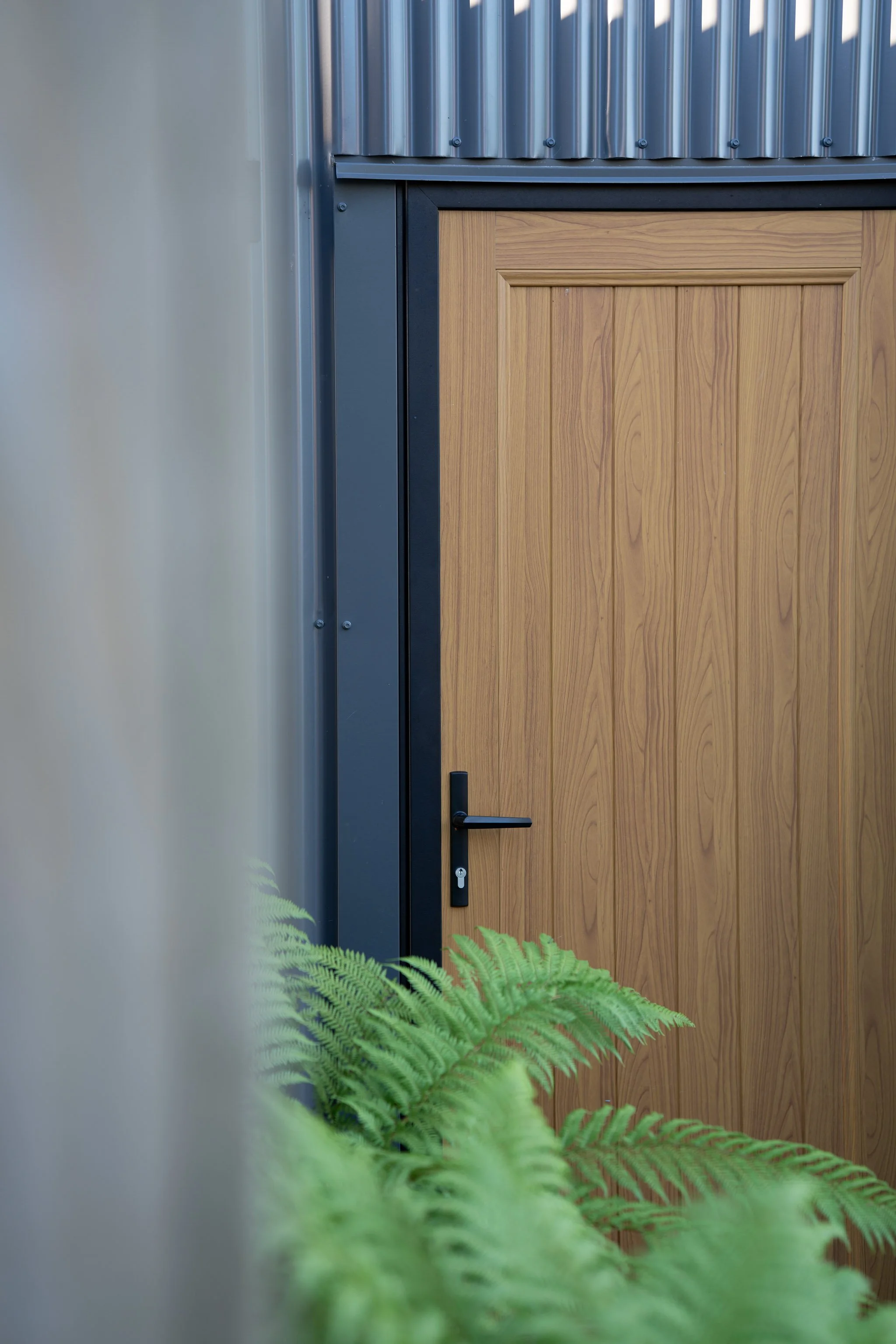 A wooden door with a black handle, set in a metal frame, with green fern plants in the foreground and a beige wall on the left side of the image.