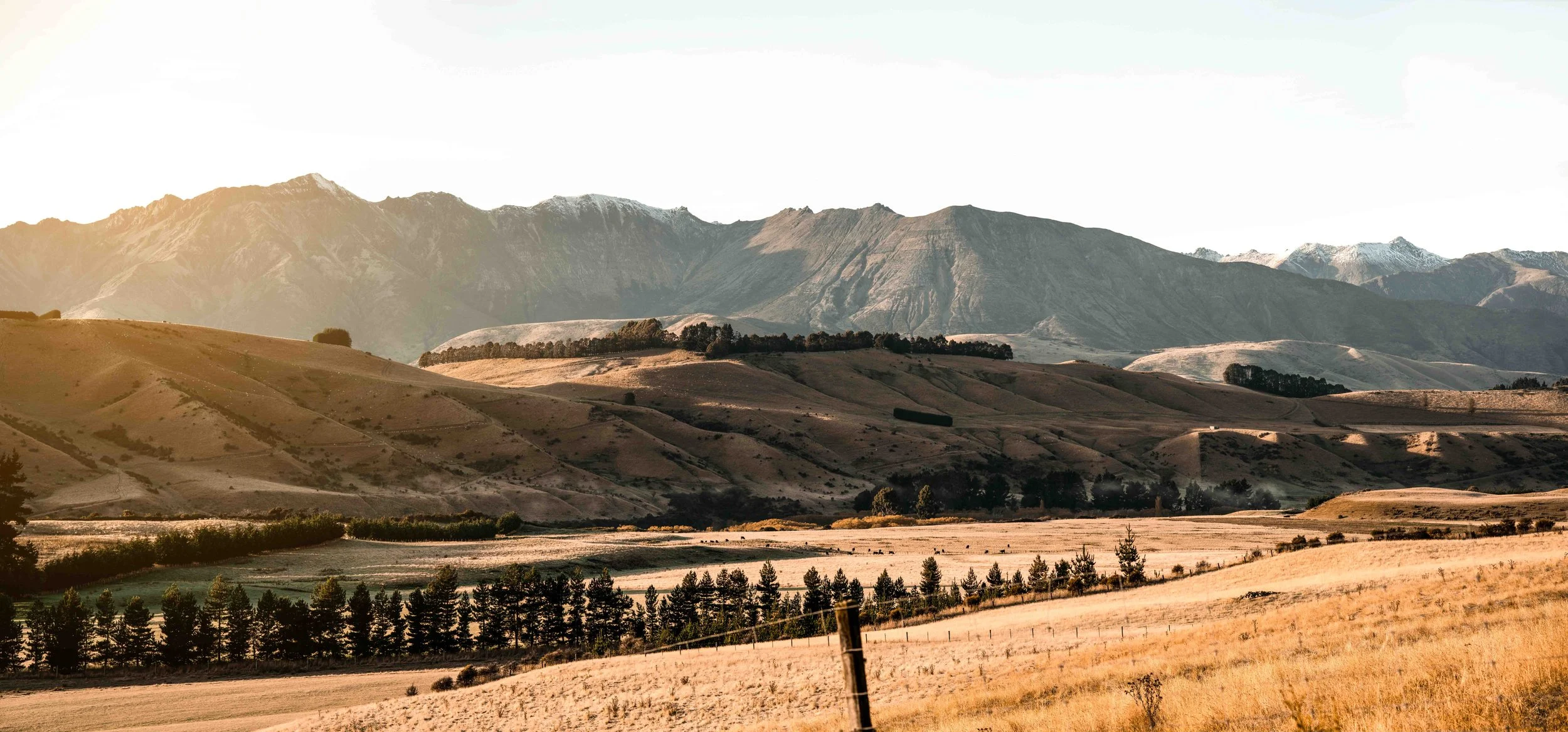 Scenic landscape of rolling hills and mountains with snow-capped peaks in the distance, under a clear sky, during daytime.