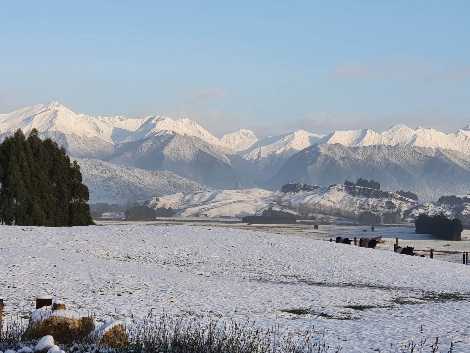 snow capped mountains and paddocks